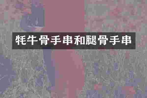 牦牛骨手串和腿骨手串