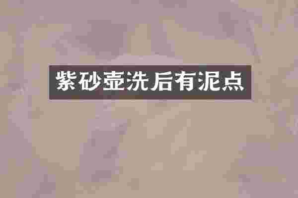 紫砂壶洗后有泥点