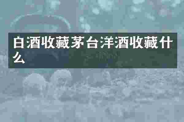 白酒收藏茅台洋酒收藏什么