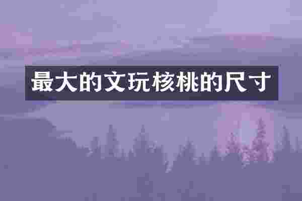 最大的文玩核桃的尺寸