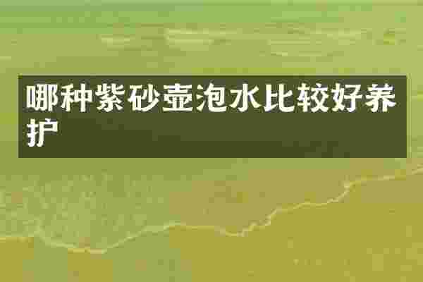 哪种紫砂壶泡水比较好养护