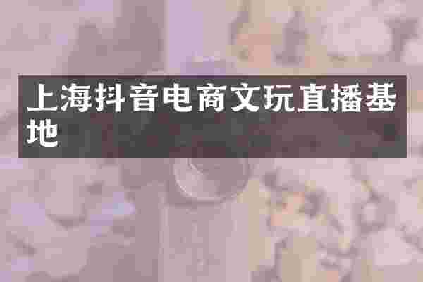 上海抖音电商文玩直播基地