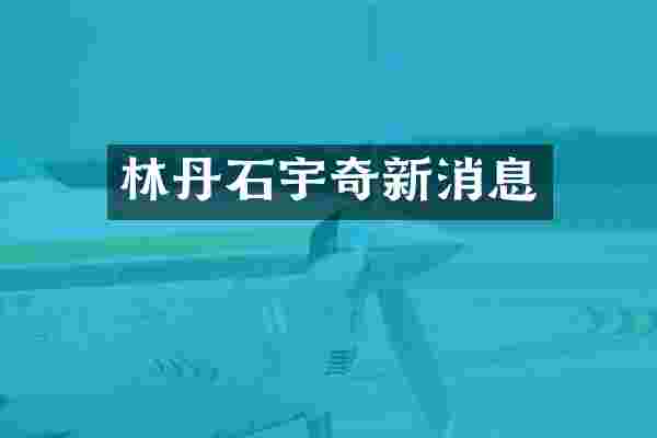 林丹石宇奇新消息