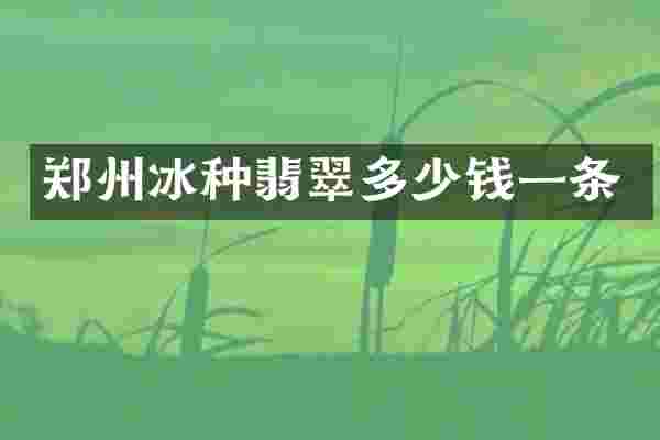 郑州冰种翡翠多少钱一条