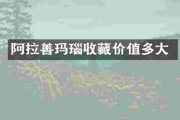 阿拉善玛瑙收藏价值多大