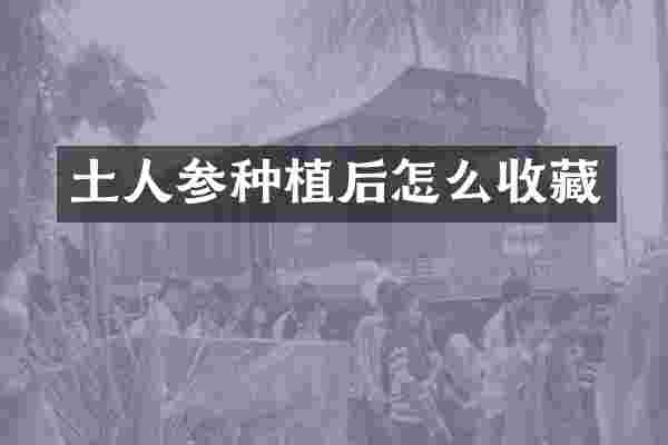 土人参种植后怎么收藏
