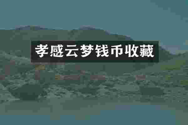 孝感云梦钱币收藏