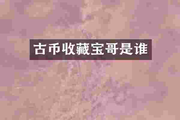 古币收藏宝哥是谁