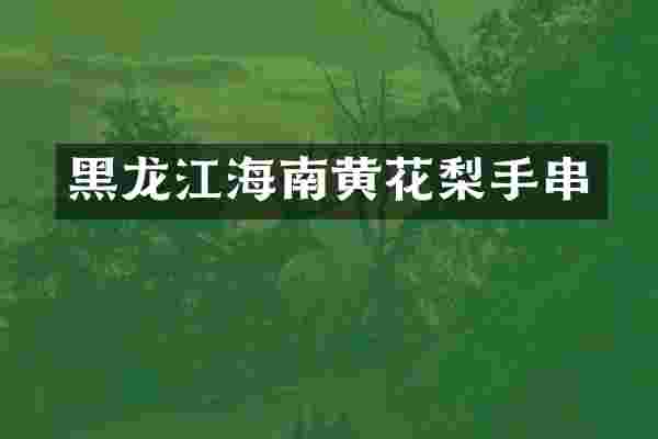 黑龙江海南黄花梨手串