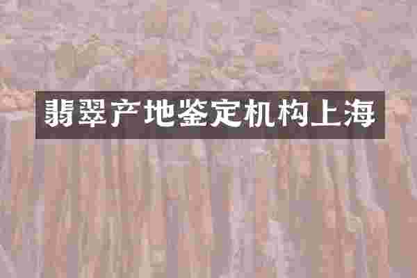 翡翠产地鉴定机构上海