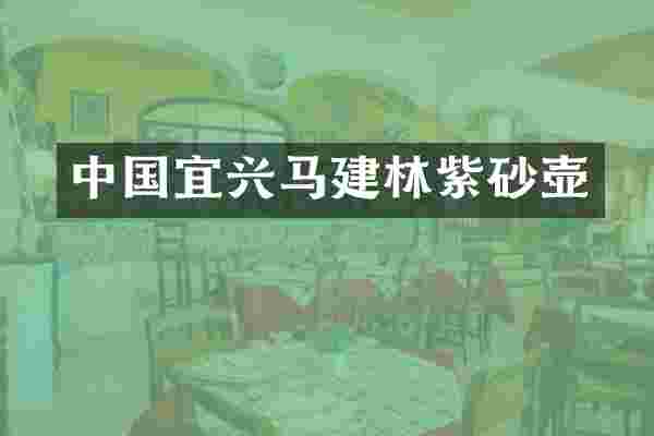 中国宜兴马建林紫砂壶