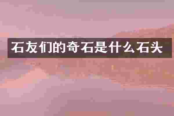 石友们的奇石是什么石头