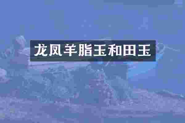 龙凤羊脂玉和田玉