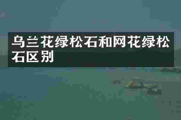 乌兰花绿松石和网花绿松石区别