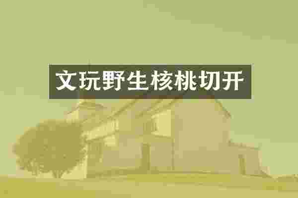 文玩野生核桃切开