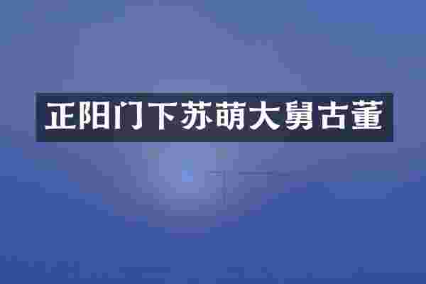正阳门下苏萌大舅古董