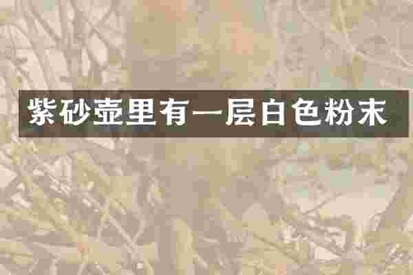 紫砂壶里有一层白色粉末