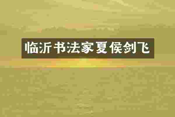 临沂书法家夏侯剑飞