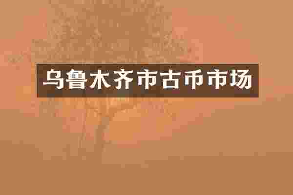 乌鲁木齐市古币市场