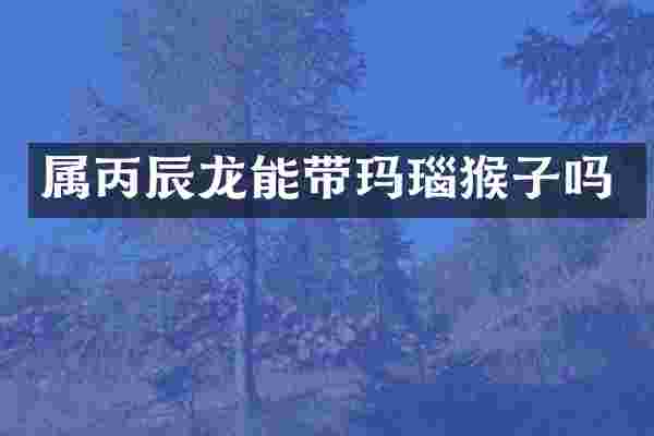 属丙辰龙能带玛瑙猴子吗