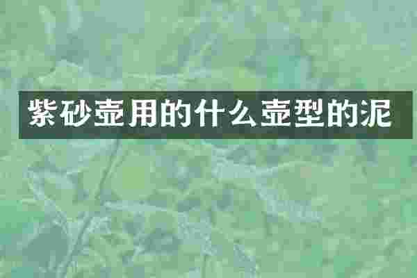 紫砂壶用的什么壶型的泥