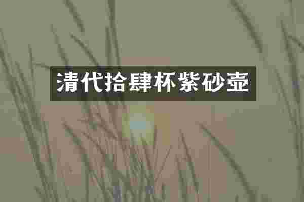 清代拾肆杯紫砂壶
