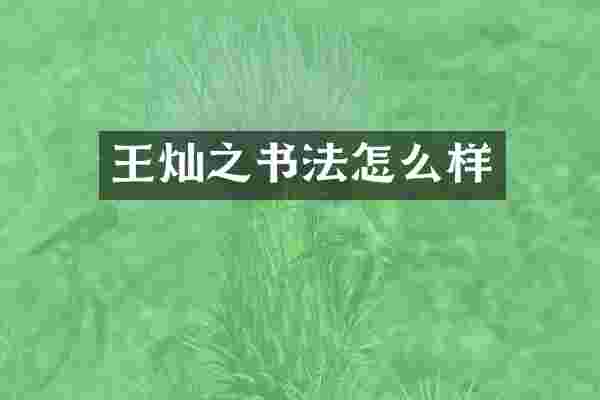 王灿之书法怎么样