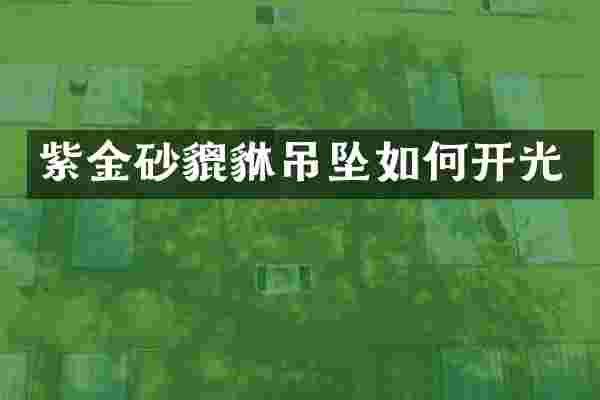 紫金砂貔貅吊坠如何开光