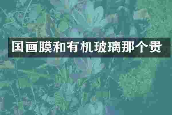 国画膜和有机玻璃那个贵
