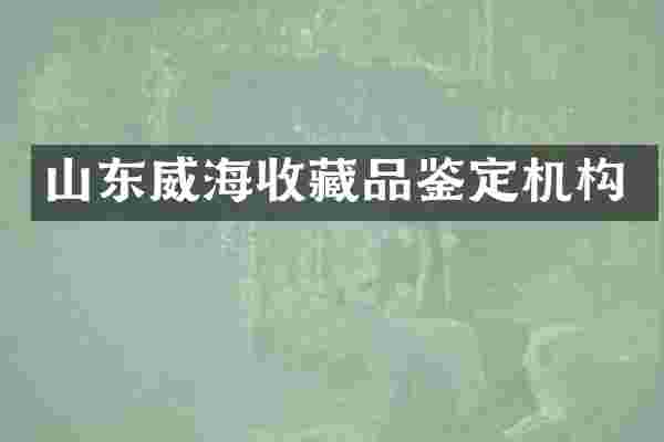 山东威海收藏品鉴定机构