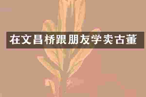 在文昌桥跟朋友学卖古董