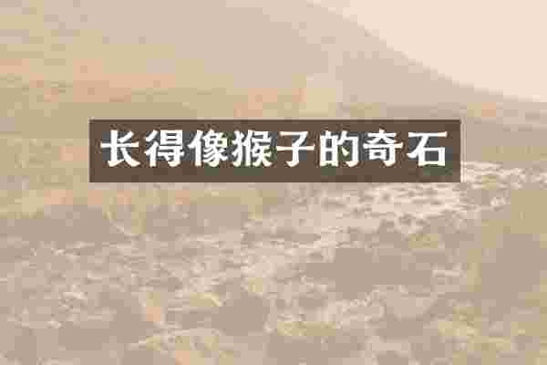 长得像猴子的奇石