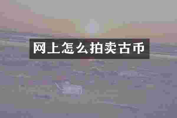 网上怎么拍卖古币