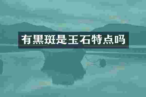 有黑斑是玉石特点吗