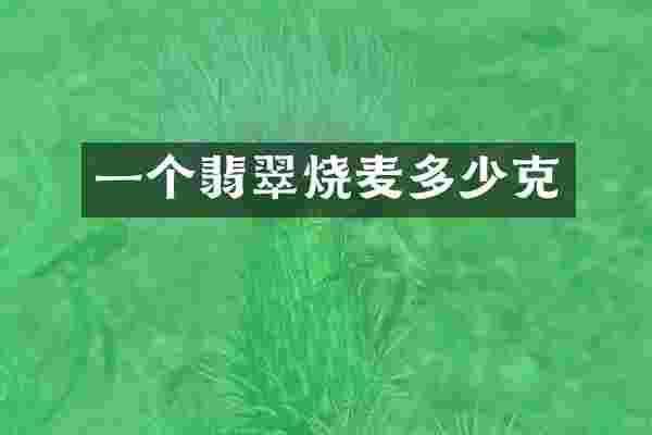 一个翡翠烧麦多少克
