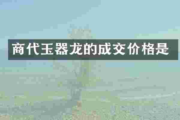 商代玉器龙的成交价格是