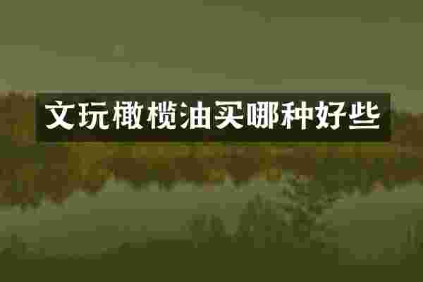 文玩橄榄油买哪种好些