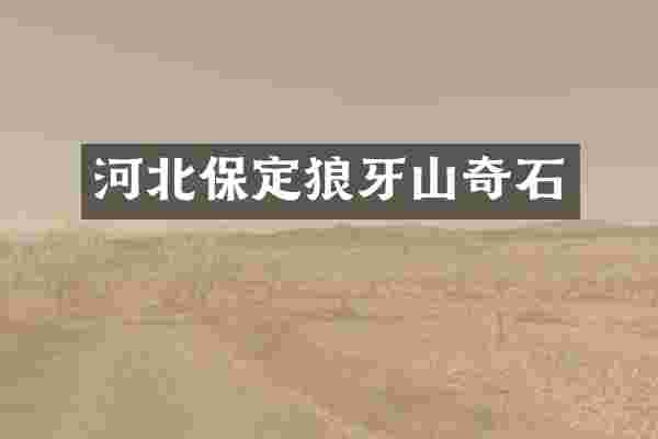 河北保定狼牙山奇石