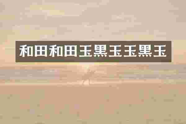 和田和田玉黑玉玉黑玉
