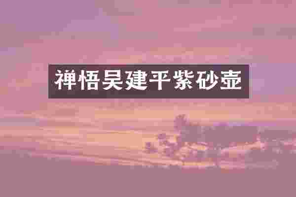禅悟吴建平紫砂壶