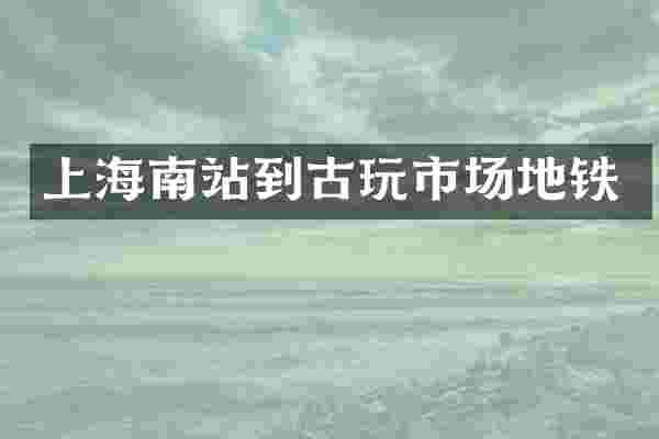 上海南站到古玩市场地铁