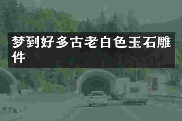梦到好多古老白色玉石雕件