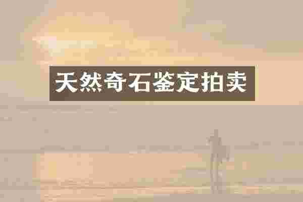 天然奇石鉴定拍卖
