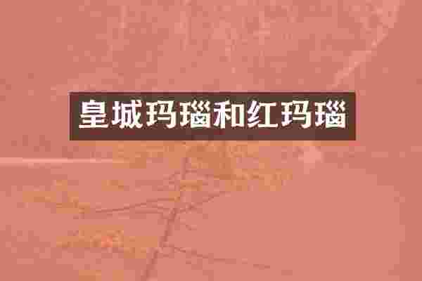 皇城玛瑙和红玛瑙