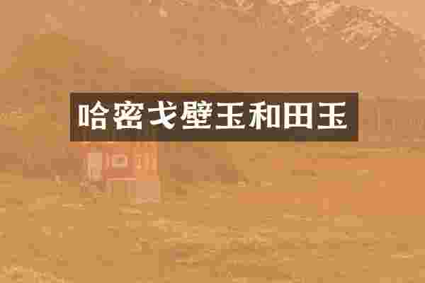 哈密戈壁玉和田玉