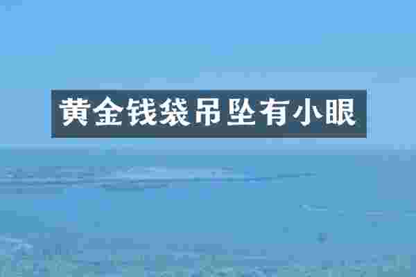 黄金钱袋吊坠有小眼