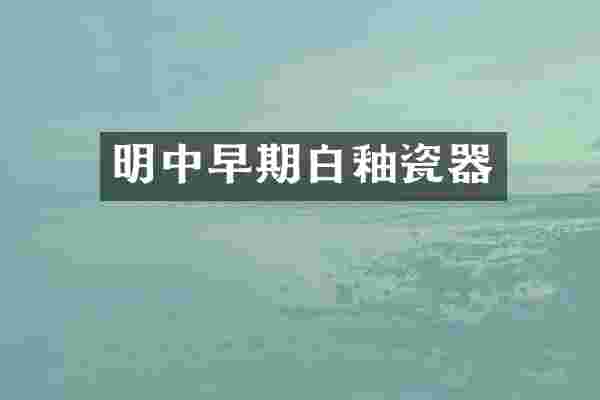 明中早期白釉瓷器