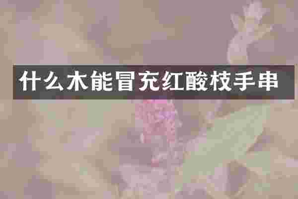 什么木能冒充红酸枝手串