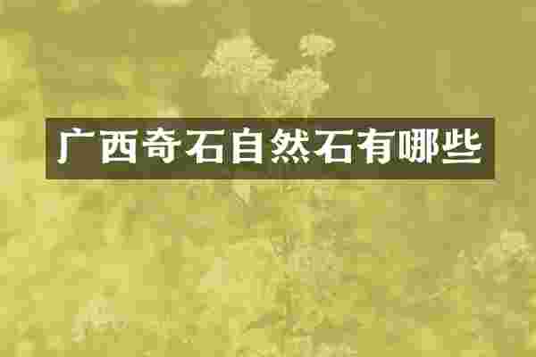 广西奇石自然石有哪些