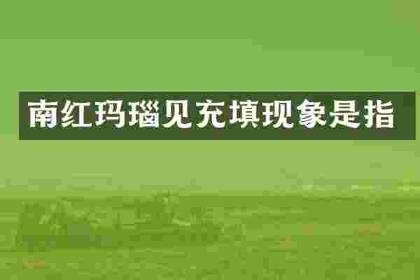 南红玛瑙见充填现象是指